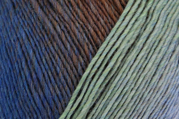 Regia Virtuoso Color